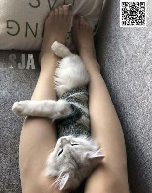海的开始