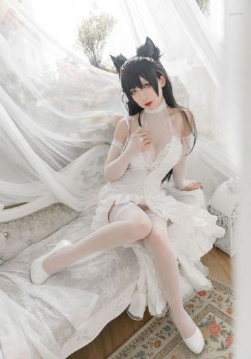 以爱为营电视剧在线观看免费版