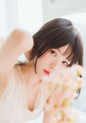 解密电视剧全集在线观看免费高清